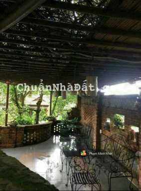 Nhà vườn siêu đẹp giảm sốc còn 9,2 tỷ - siêu phẩm biệt thự Thành Phố Thủ Dầu Một Bình Dương