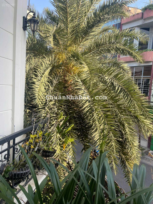 Biệt thự sinh thái, tặng full nội thất, xem là mê, Đồng Đen DT: 8m x 15m, giá 21 tỷ