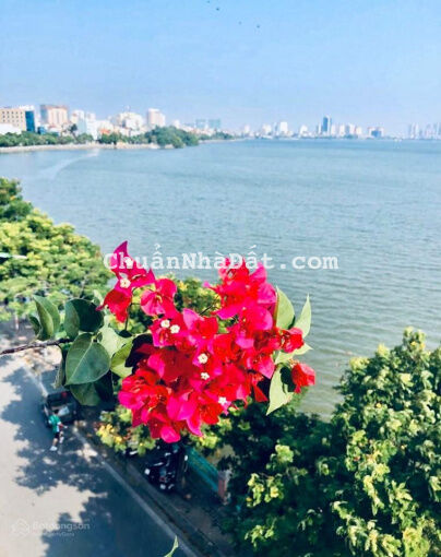 Mặt phố 9 tầng - Bán nhà mặt phố Thụy Khuê: 48m2 - 2 Mặt phố - 2 Mặt tiền - View thoáng vĩnh viễn