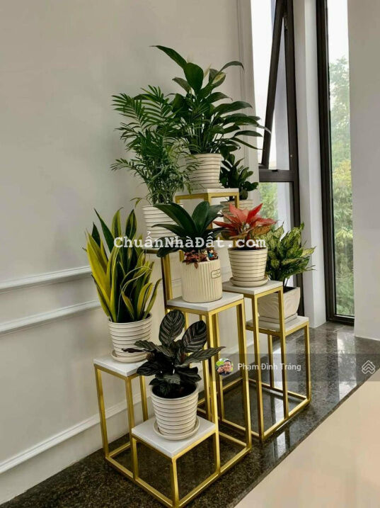 Chủ giảm sâu bán gấp mặt phố Trung Kính - Lô góc kinh doanh - 300m2 - MT 15m - 83 tỷ