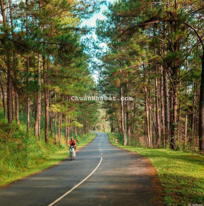 Bán nhà MT Nguyễn Ảnh Thủ (8x18)m giá 11.5 tỷ TTT, H. Hóc Môn (sát Q12)