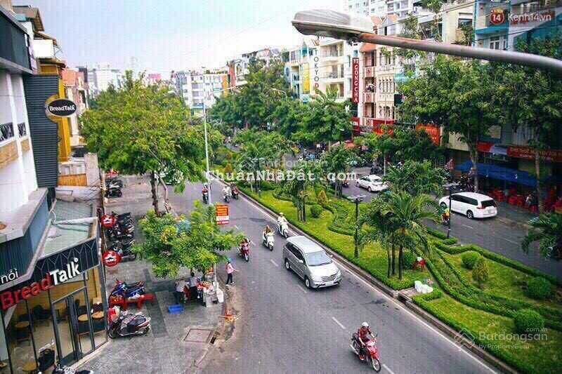 Giảm mạnh 12 tỷ còn 68 tỷ bán building 10,6m X24m Phan Xích Long thu nhập 380tr/tháng