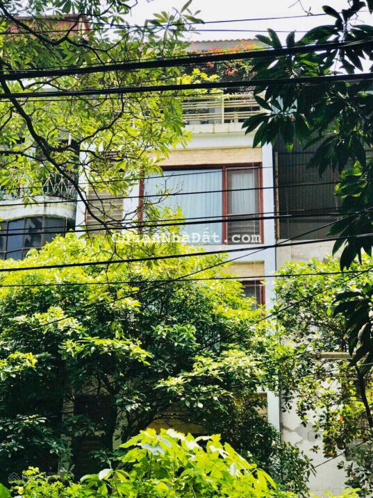 Nhà đẹp | Đào Tấn - Ba Đình | 45m2 4 tầng - Mặt tiền 4m - Ngõ thông rộng - 4 ngủ ở luôn