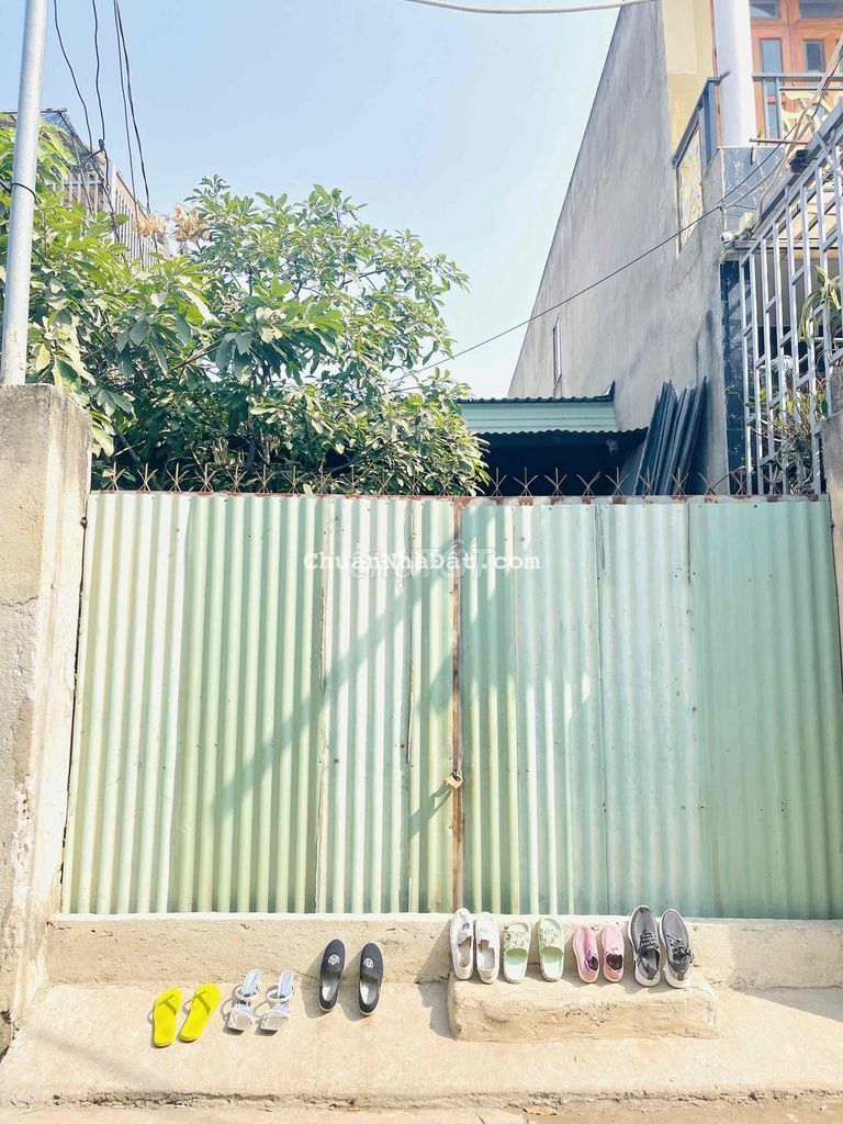 Bán đất tặng nhà tạm tại vườn dừa - Phước Tân