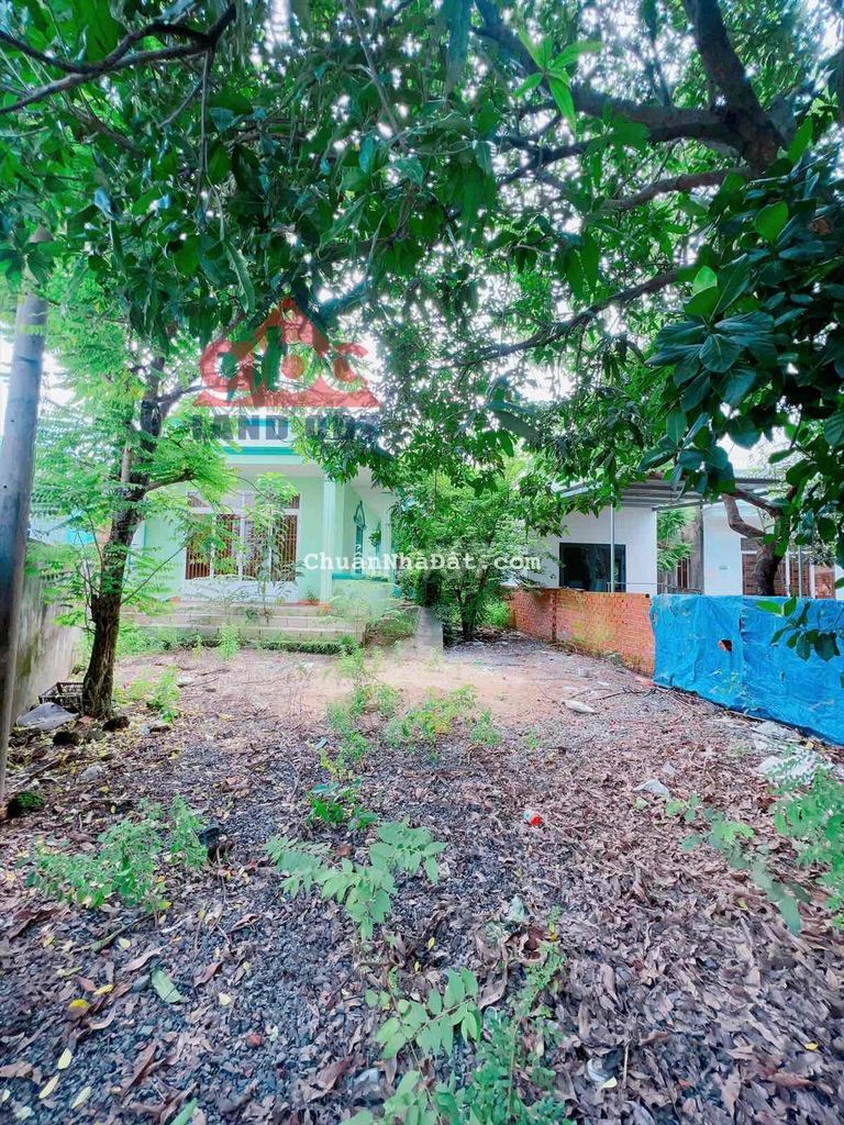 BÁN ĐẤT TẶNG NHÀ HOÁ AN CÁCH BÙI HỮU NGHĨA 50m