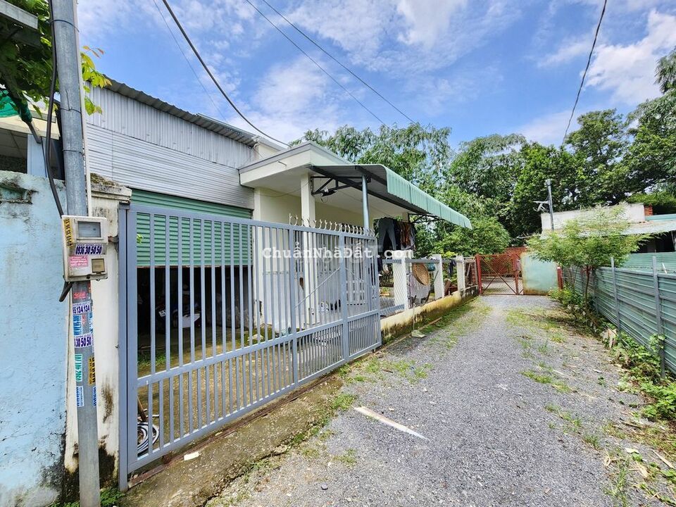 Bán đất tặng nhà cấp 4 cách đường Phạm Văn Diêu 300m Tân Hạnh Biên Hòa Bán đất tặng nhà cấp 4 cách đường Phạm Văn Diêu 300m Tân Hạnh Biên Hòa