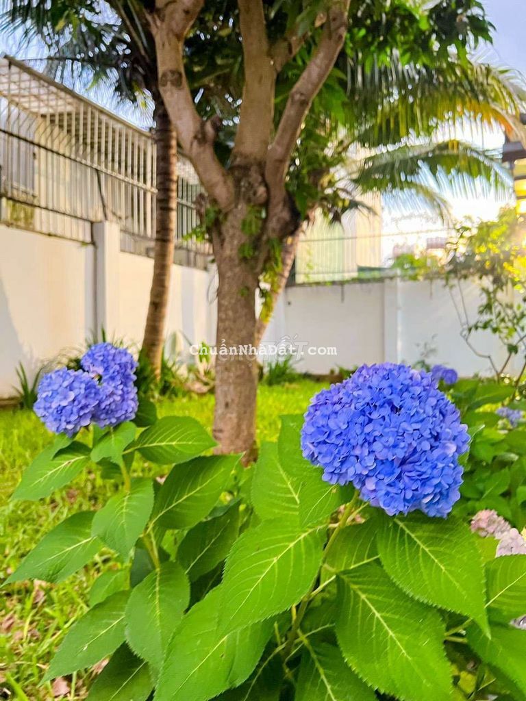 Nhà Vườn Biệt Thự MiNi Ngay Trung Tâm Thành Phố 352m² Lương Thế Vinh Nhà Vườn Biệt Thự MiNi Ngay Trung Tâm Thành Phố 352m² Lương Thế Vinh