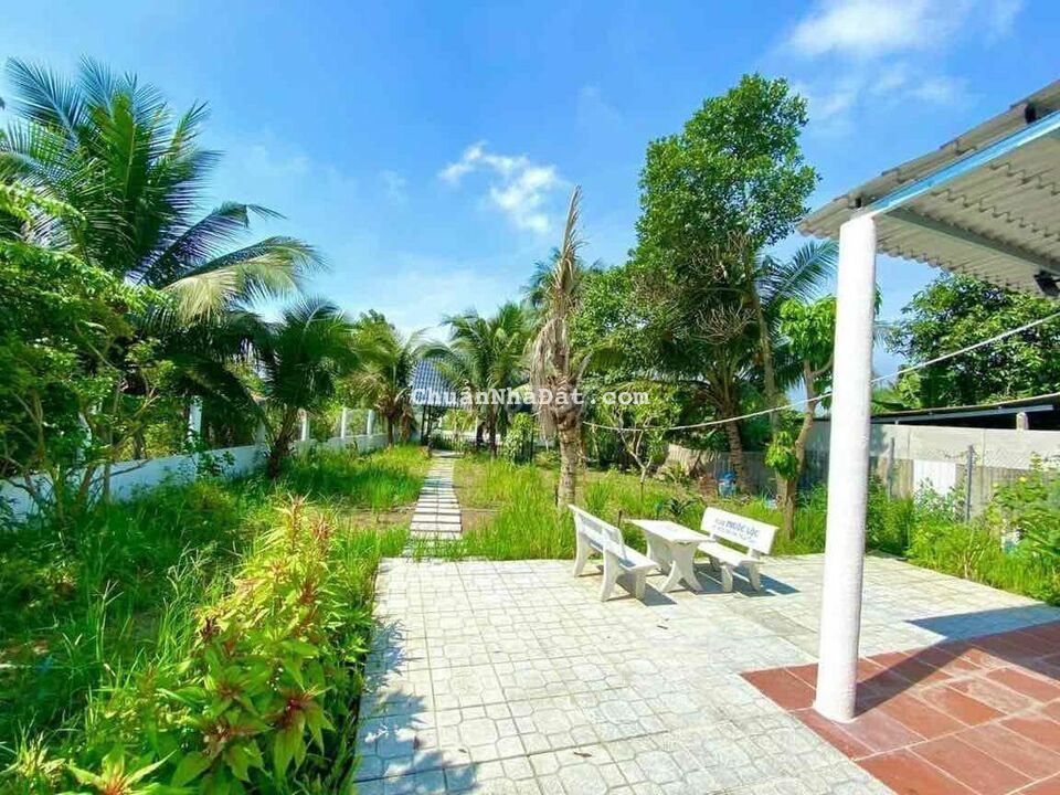 CHÍNH CHỦ CẦN BÁN NHÀ Ở + SÂN VƯỜN 250m2 BÌNH CHÁNH 1TỶ650 SỔ RIÊNG