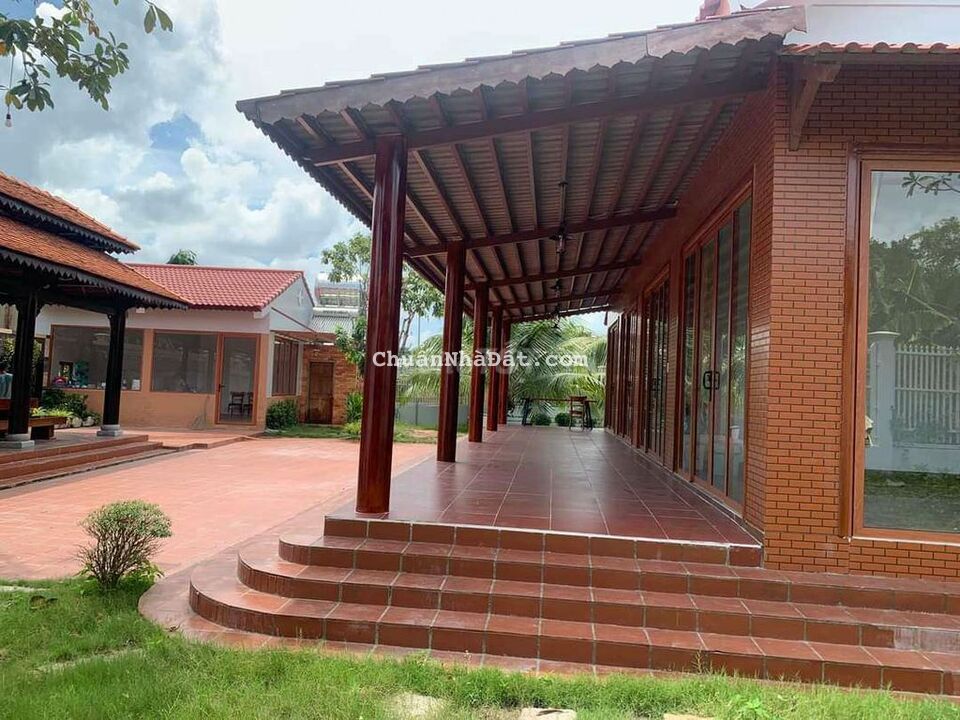Bán lỗ 5 tỷ căn Homestay siêu xịn siêu mịn Bán lỗ 5 tỷ căn Homestay siêu xịn siêu mịn