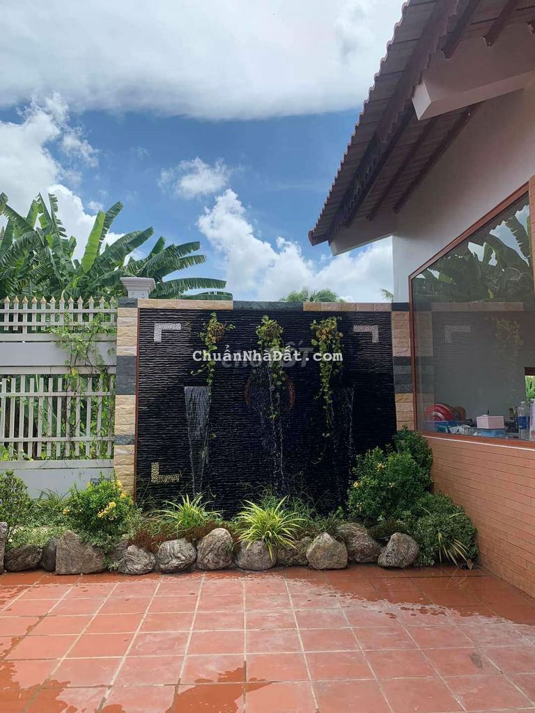 Bán lỗ 5 tỷ căn Homestay siêu xịn siêu mịn Bán lỗ 5 tỷ căn Homestay siêu xịn siêu mịn