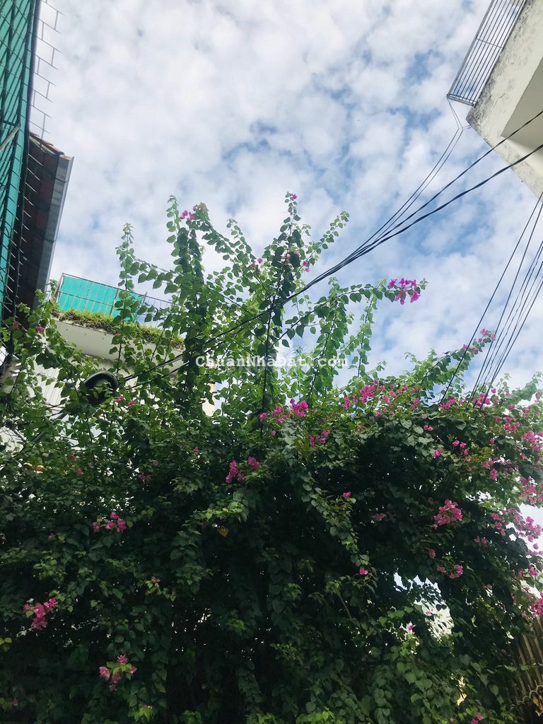 Nhà mới dọn vào ở ngay phường 24  Bình Thạnh Giáp quận 4x17m nở hậu