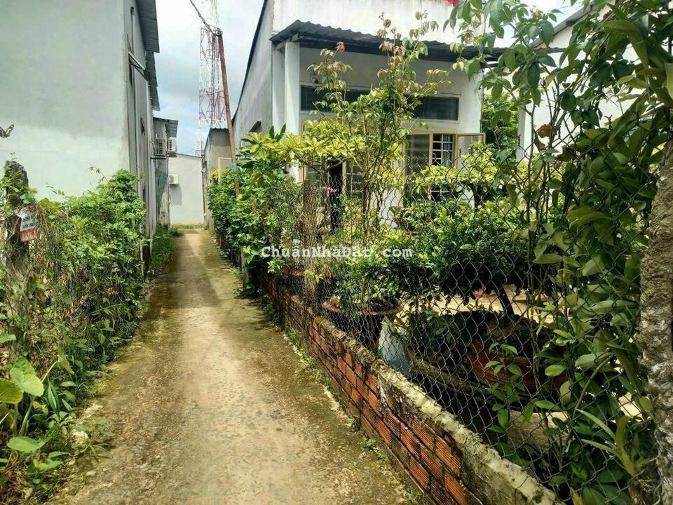 Nhà rẻ thổ cư DTSD 93m2. Gần chợ Ngã Tư Trần Quang Diệu. Nhà rẻ thổ cư DTSD 93m2. Gần chợ Ngã Tư Trần Quang Diệu.