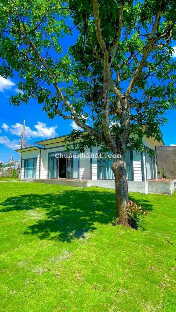Bán biệt thự nghỉ dưỡng săn mây Bảo Lộc. Chỉ 415 triệu sang tên