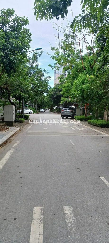 Biệt Thự Víp Khu Phân Lô - VILACERA  Xuân Phương - 100M - 4Tầng 11,9Tỷ