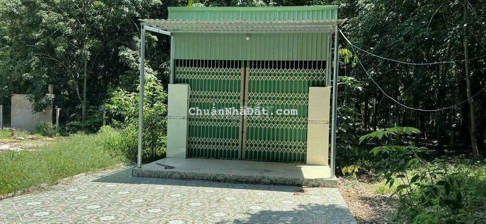 NHÀ SỔ HỔNG RIÊNG HÒA LỢI, TP BẾN CÁT CÔNG CHỨNG NGAY NHÀ SỔ HỔNG RIÊNG HÒA LỢI, TP BẾN CÁT CÔNG CHỨNG NGAY