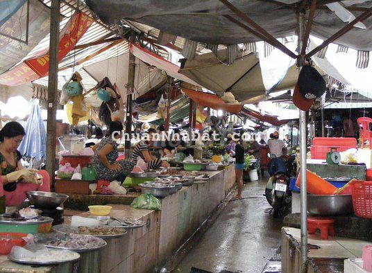 Trọ đôi 10x30m sát KCN Nhật - Hàn Bình Dương, giá bán 1.8 tỷ, sổ hồng