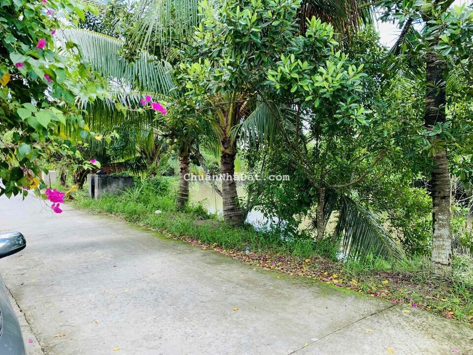 Bán đất và nhà nghỉ dưỡng Kv Đông Thạnh, Châu Thành, Hậu Giang