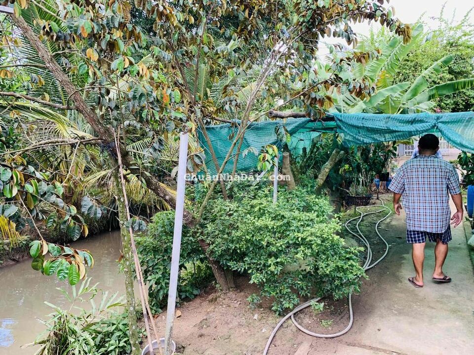 Bán đất và nhà nghỉ dưỡng Kv Đông Thạnh, Châu Thành, Hậu Giang