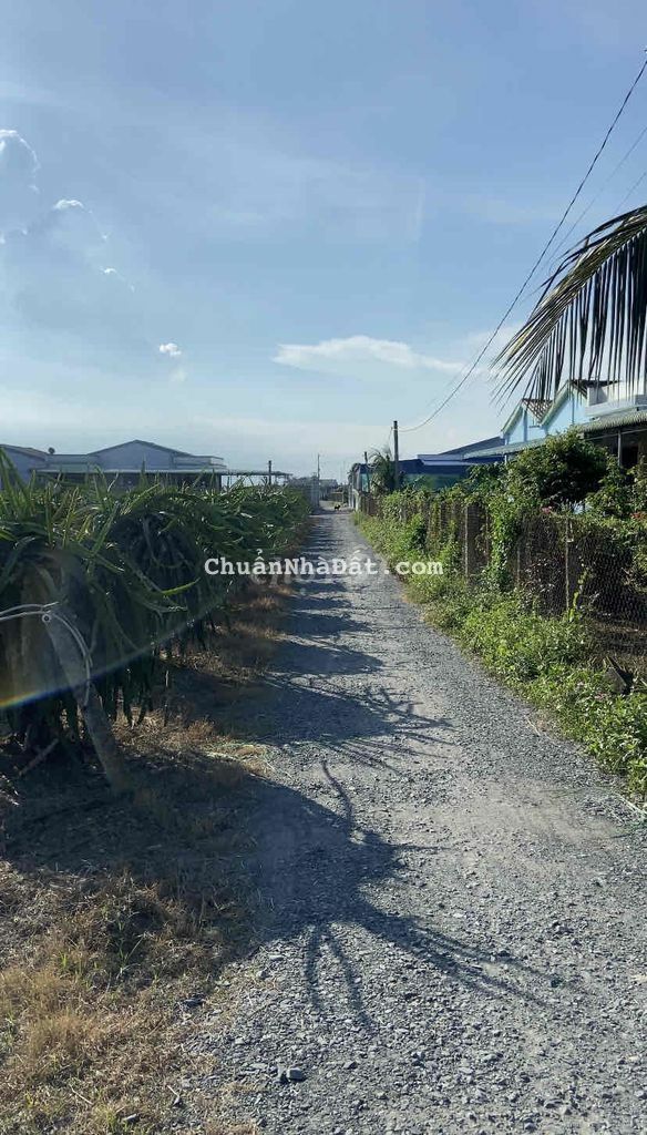 Bán nhà mới xây diện tích 255m2 thổ cư đường xe hơi SHR vị trí đẹp