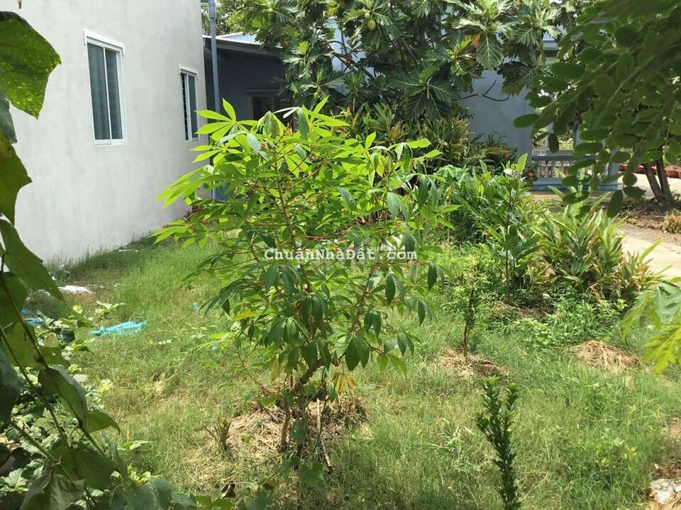 Nhà chính chủ gần BỆNH VIỆN CẦN ĐƯỚC 1,2 tỷ (10×14)