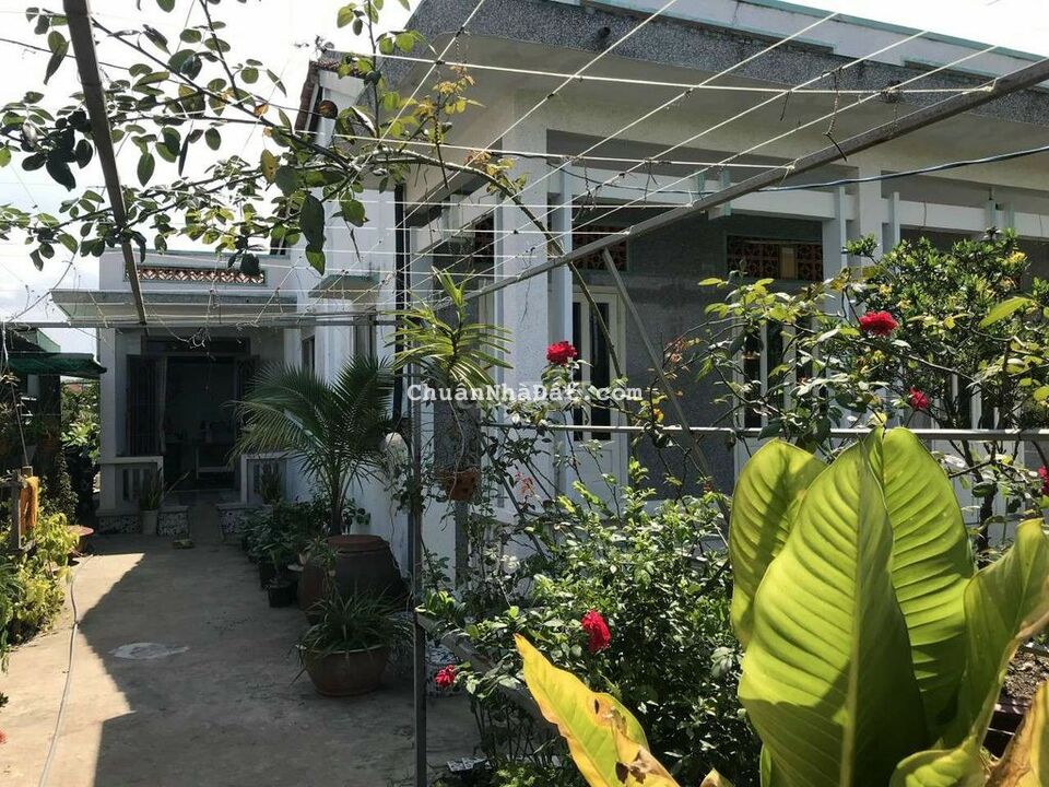 Nhà chính chủ 12x35 giá 2,2 tỷ gần CHỢ LONG SƠN Nhà chính chủ 12x35 giá 2,2 tỷ gần CHỢ LONG SƠN