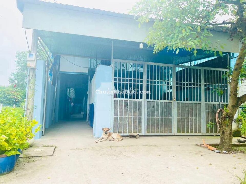 Bán gấp dãy trọ 5 phòng 102m2 xã Tân Thông Hội, Củ Chi giá 490 triệu