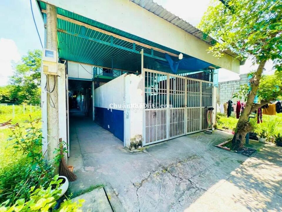 Bán gấp dãy trọ 5 phòng 102m2 xã Tân Thông Hội, Củ Chi giá 490 triệu