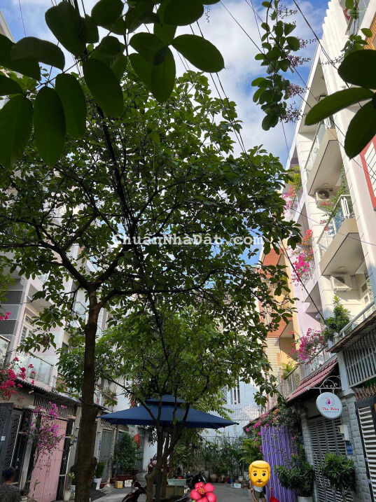 HXH - 56m2 - 4 tầng - Gò Vấp khu phân lô, dân trí cao