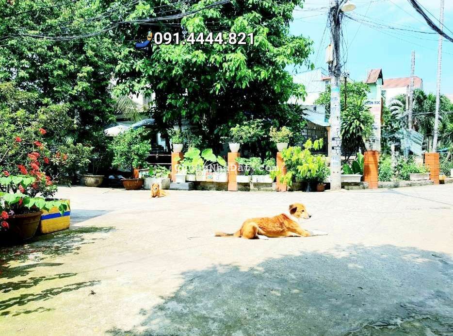 5x13 3 lầu hxh, hướng Tây Nam, nhà đẹp