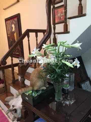 Chỉ 70 triệu/1m2_bán nhà Võ thị Sáu_ngõ thông 55m2 Chỉ 70 triệu/1m2_bán nhà Võ thị Sáu_ngõ thông 55m2