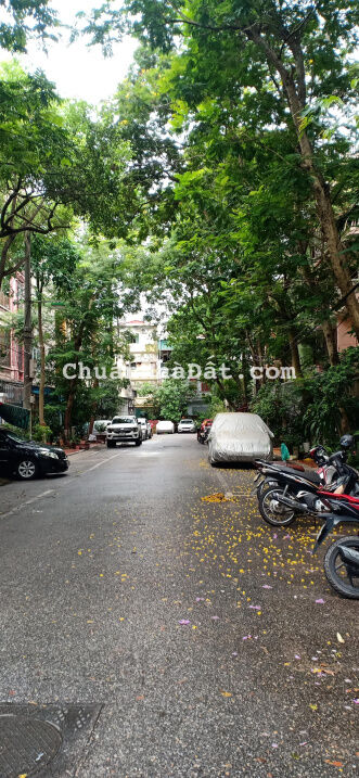 Bán nhà khu phân lô Trương Định - Bạch Mai, ốc đảo xanh mát giữa lòng thủ đô, 62m2, 11 tỷ