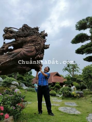 Bán gấp giá rẻ nhà Tân Mai 590 triệu (giá cũ 750 triệu) 11m tầng 1, tầng 2 đua 12m, 3 tầng