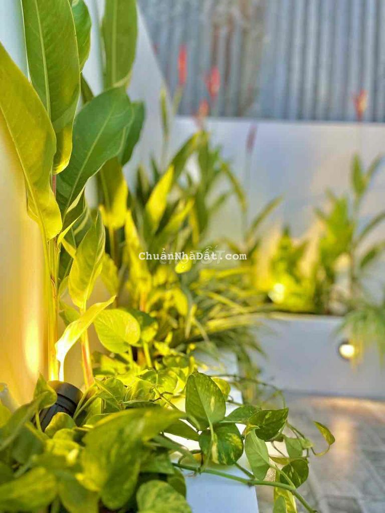 NHÀ MÁI THÁI MỚI XÂY KHU TRƯỜNG GIANG. GIÁP PHƯỜNG 8