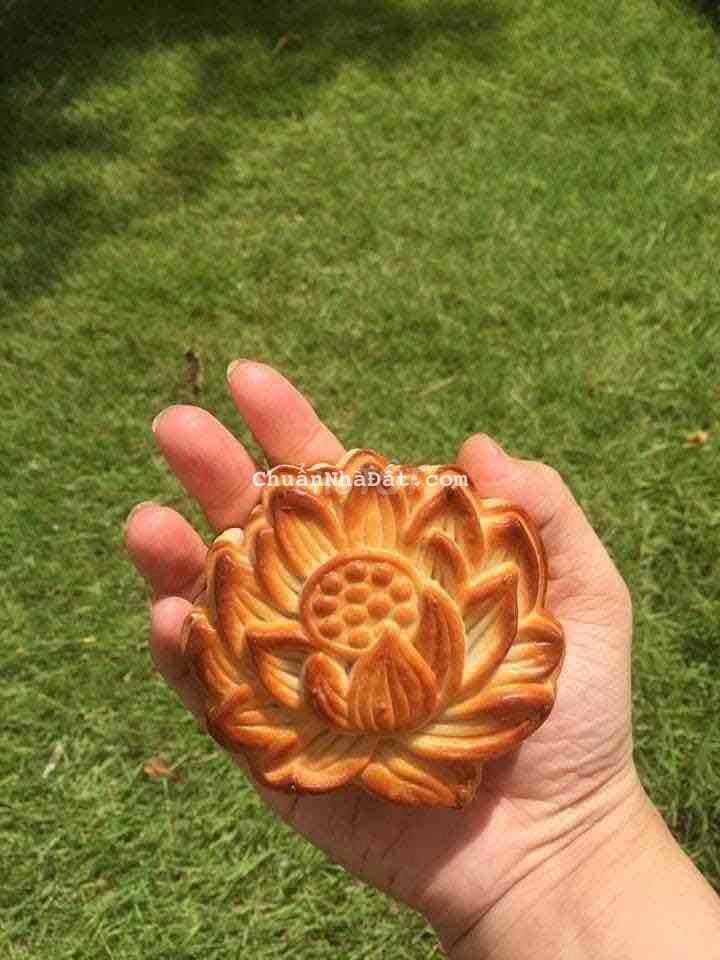 Bán nhà MT đường Phạm Nổi ( giá tốt)