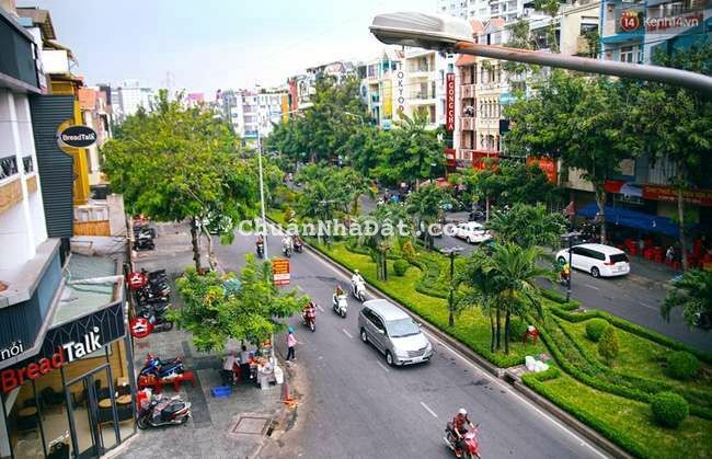 Nhà Nát 7x20(130m2) Mặt Tiền Hoa Sứ Khu Phan Xích Long Giá 23 Tỷ Nhà Nát 7x20(130m2) Mặt Tiền Hoa Sứ Khu Phan Xích Long Giá 23 Tỷ