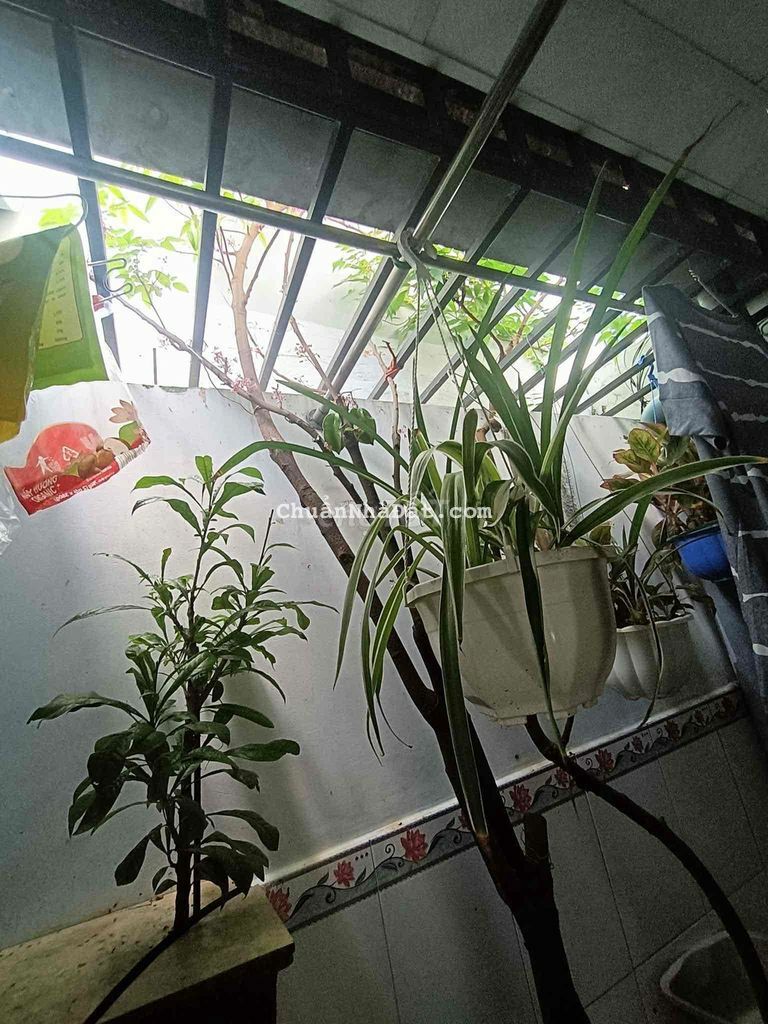 KHU PHAN XÍCH LONG- 42M, 4PN -DÂN TRÍ CAO - SỔ ĐẸP KHU PHAN XÍCH LONG- 42M, 4PN -DÂN TRÍ CAO - SỔ ĐẸP