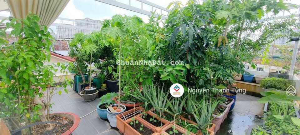 Bán nhà HXH 8m đường Nguyễn Tri Phương Quận 10. DT: 5.5x22m, trệt 3 lầu giá 19.5 tỷ TL