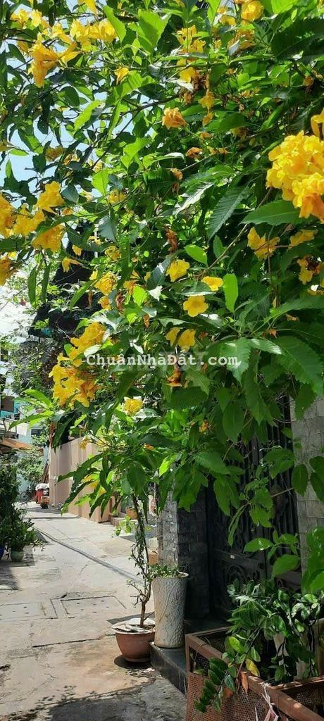 Mặt tiền Thái Phiên p8 q11 ( 5.8×10 ) 5 Lầu giá bao lướt 8.9 Tỷ