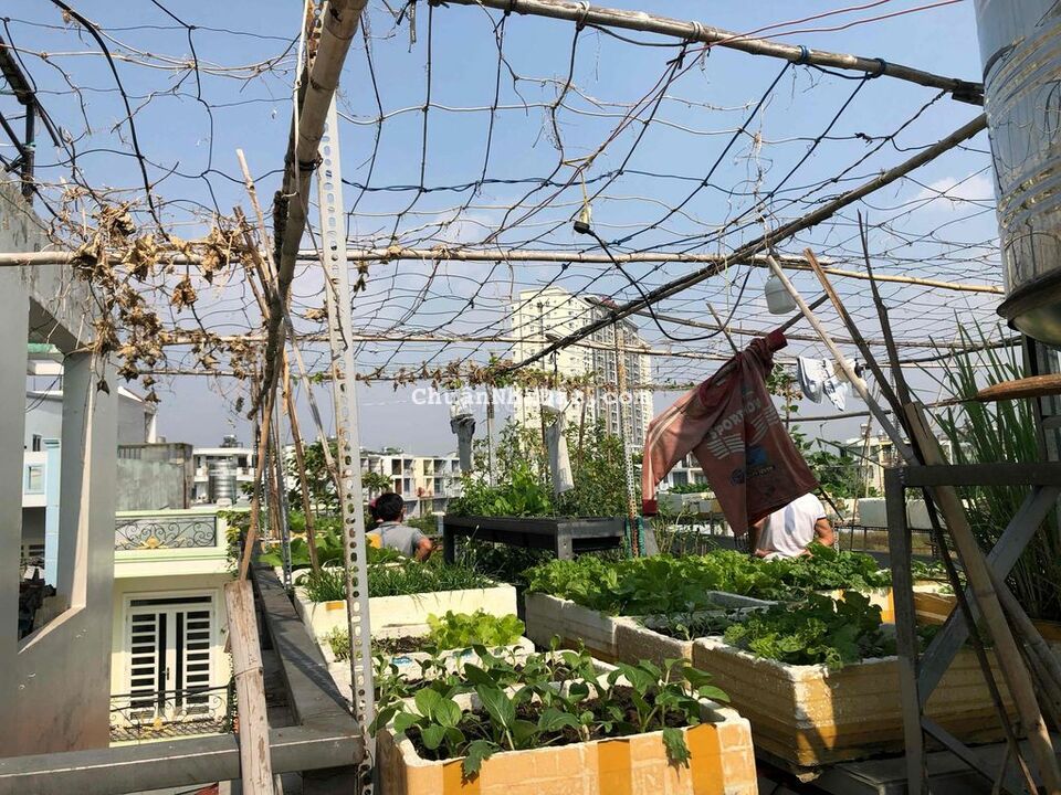 HÀNG XÓM VỚI HIỆP THÀNH CITY, NGANG ~6M, 110m2, 3 TẤM, NỞ HẬU TÀI LỘC HÀNG XÓM VỚI HIỆP THÀNH CITY, NGANG ~6M, 110m2, 3 TẤM, NỞ HẬU TÀI LỘC