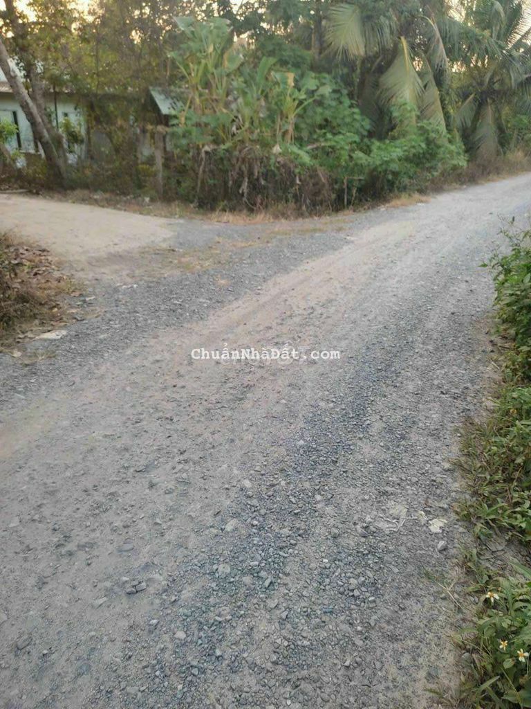 Nhà Trung tâm An Sơn