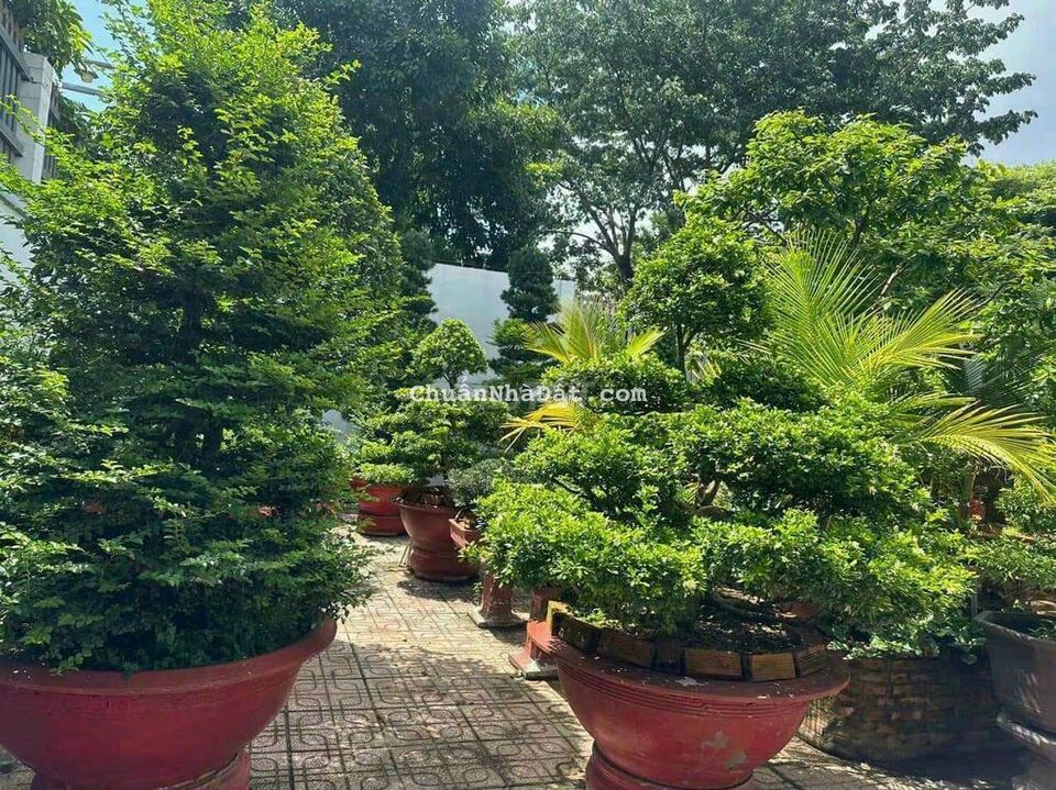 Cần Bán Biệt Thự View Sông Sài Gòn