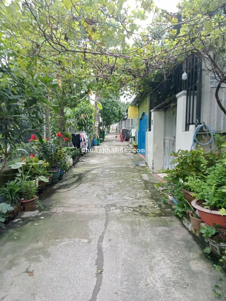 Bán nhà cấp 4 Dt86m2, phường Bình Hòa Thuận An BD Bán nhà cấp 4 Dt86m2, phường Bình Hòa Thuận An BD