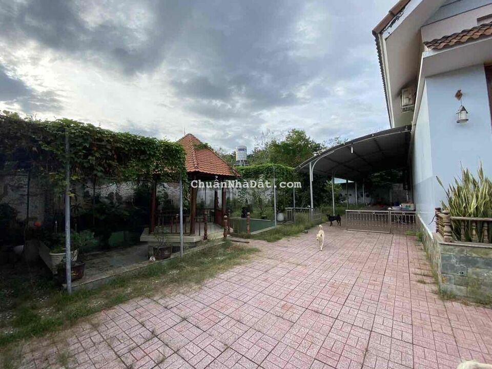 Bán 1253m2 đất Thị Trấn Tân Phú, có biệt thự gỗ mặ