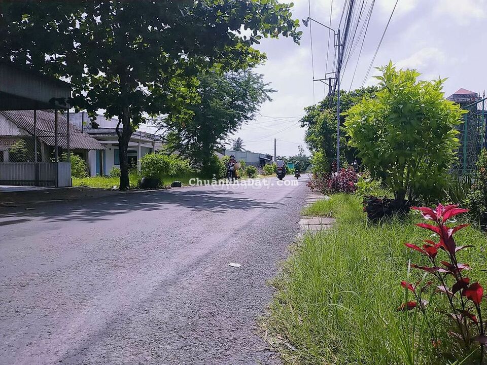 Nhà mặt tiền nhựa, 10x35m. Chỉ 1.3 tỷ Nhà mặt tiền nhựa, 10x35m. Chỉ 1.3 tỷ