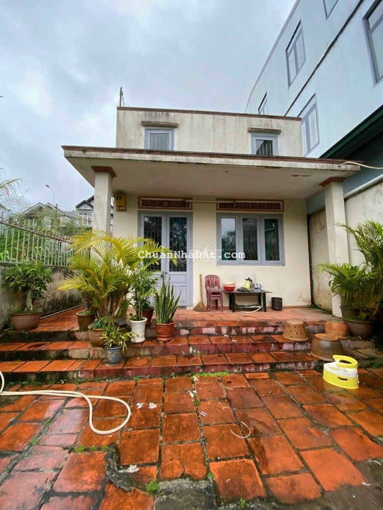 BÁN NHÀ VIEW THÔNG XANH, PHƯỜNG 8, ĐÀ LẠT