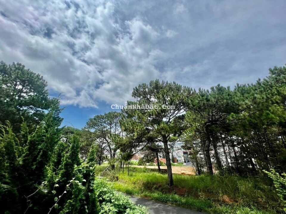 BÁN NHÀ VIEW THÔNG XANH, PHƯỜNG 8, ĐÀ LẠT