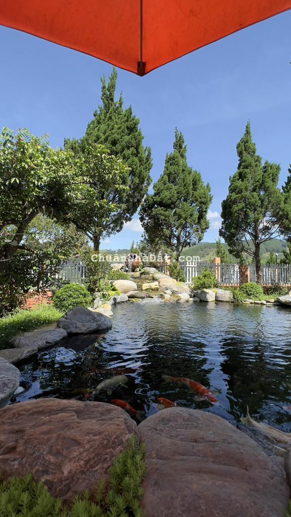 BIỆT THỰ NGHĨ DƯỠNG SÂN VƯỜN 1400M2 ĐÀ LẠT
