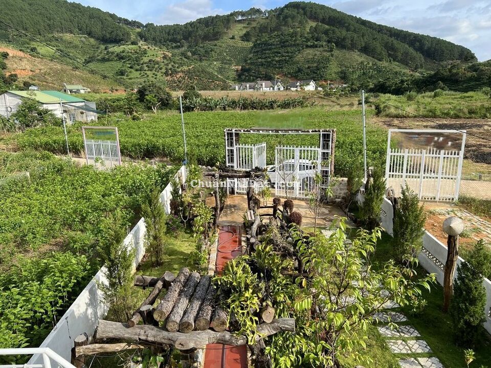 Nhà sân vườn, view đẹp, sổ riêng 300m thổ cư