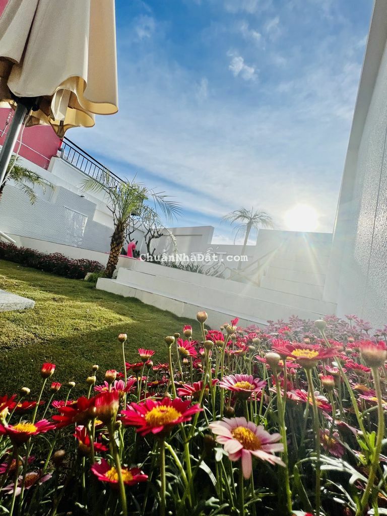 CHỈ 14,7 TỶ CÓ NGAY VILLA SÂN VƯỜN CAO CẤP - CÓ HỒ BƠI - NAM HỒ ĐÀ LẠT