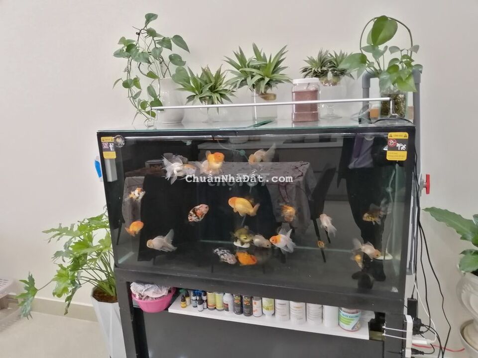 NHÀ ĐẸP 4 TẦNG NỘI THẤT CAO CẤP ĐÀ LẠT